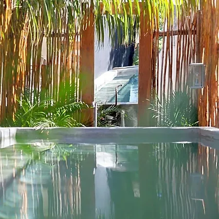 Hotel Aroma & Club 3*