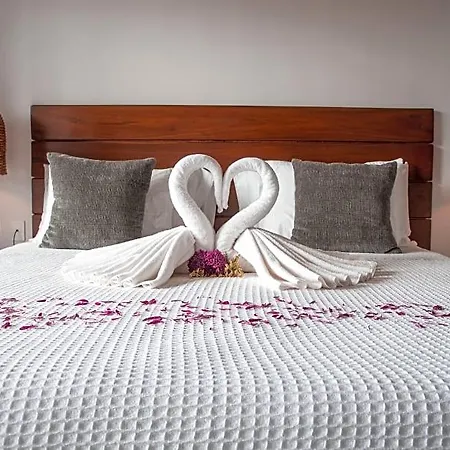 Zendero Hotel 4*
