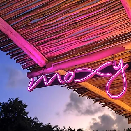Moxy 4*