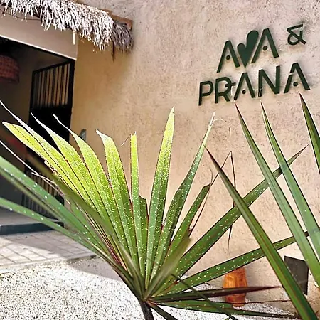 Hotel Ama Y Prana Tulum