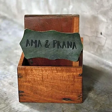 Ama Y Prana 5*