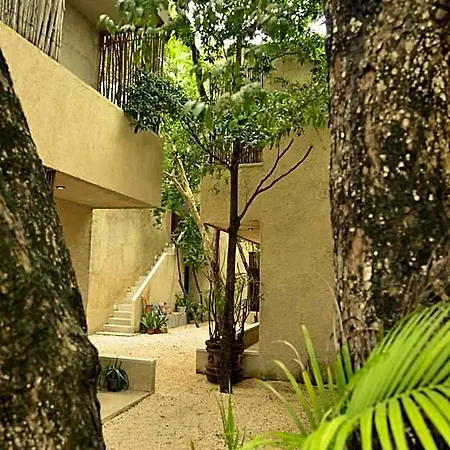 Ama Y Prana Hotel 5*