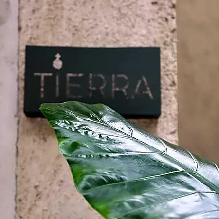 Ama Y Prana 5* Tulum
