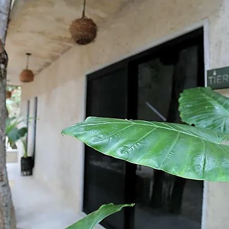 Ama Y Prana 5* Tulum