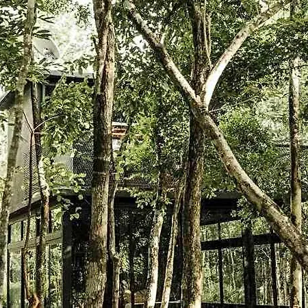 Hotel K Naj Community Cenote Tulum