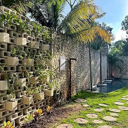 Bau