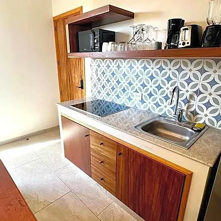Hotel Spacious Penthouse With Pool 4*