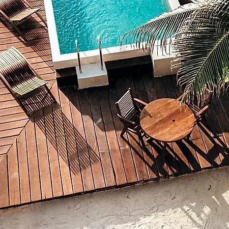 Akkuun Adults Only 3*