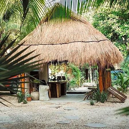Akkuun Adults Only 3* Tulum