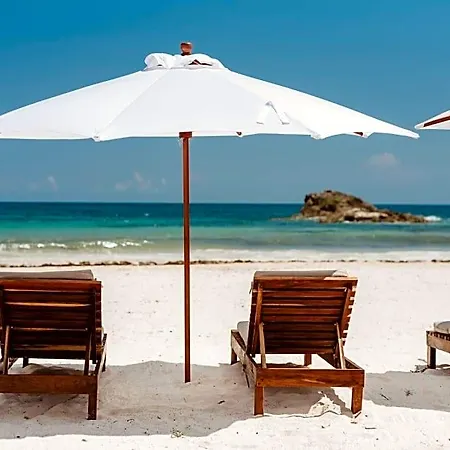 Akkuun Adults Only 3*
