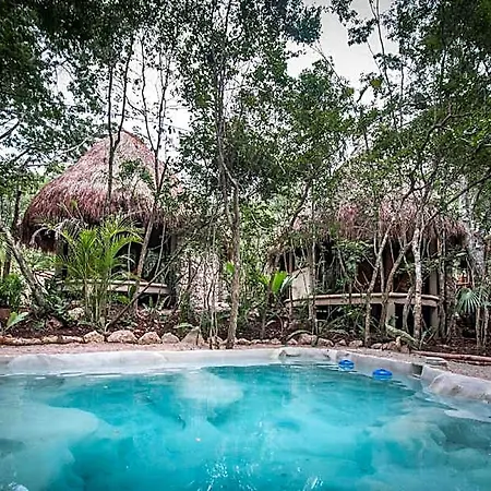 Pepem Holistic Experience Hotel 3*