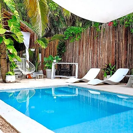 Residencia Gorila Tulum