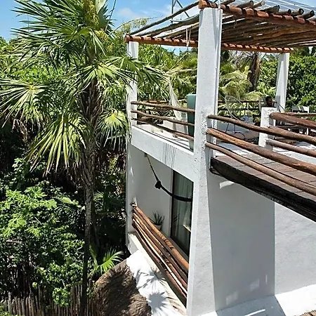 Residencia Gorila 2*