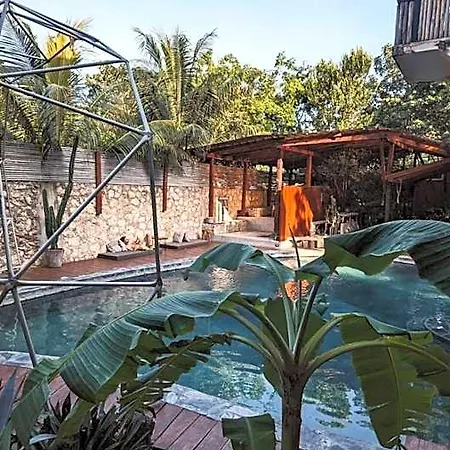 Botanica Hotel *
