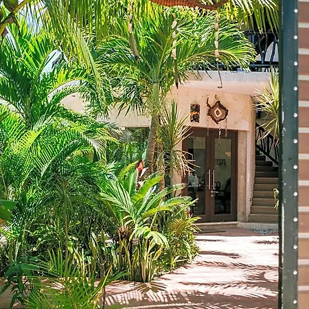 Lechuga De Mar Relaxing Getaway &pool 3* Tulum