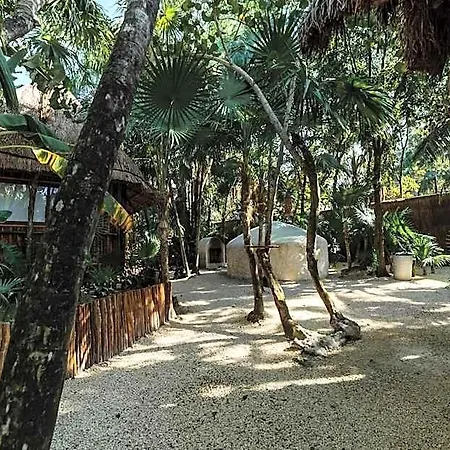 Co.bañitas