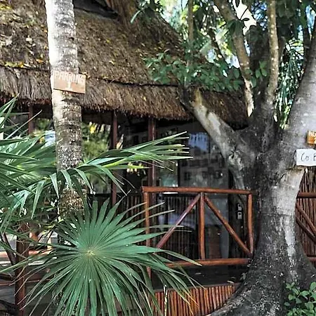 Co.bañitas Hotel Tulum