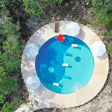 Energy Holistic Ranch Tulum
