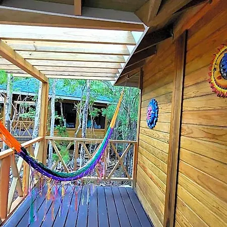 Energy Holistic Ranch