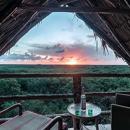 Hidden Treehouse Eco-hotel