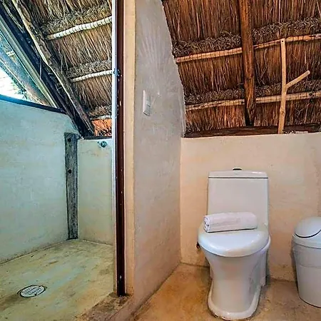 Hidden Treehouse Eco-hotel Hotel