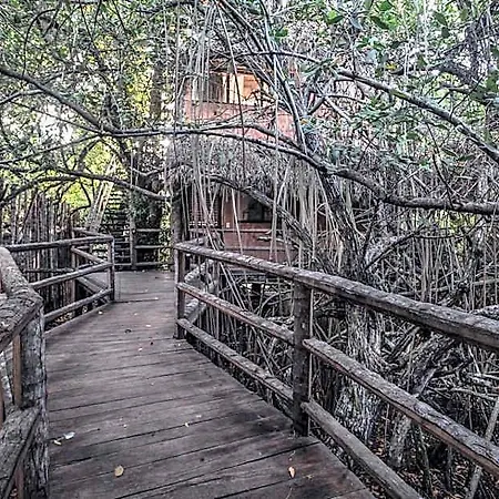 Hidden Treehouse Eco-hotel Hotel