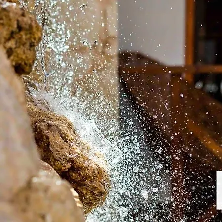 Hotel Lagoon Boutique - Luxury Chaman Experience Tulum