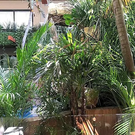 218 Stylish Delux Fast Wifi * Tulum