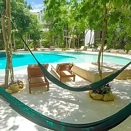 Oasis Yaaxlum