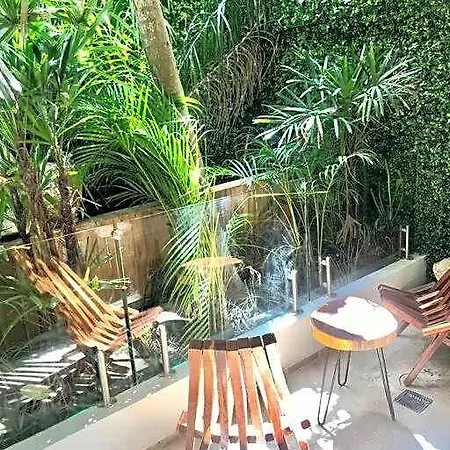 012 Modern Luxurious Wifi 100 Mb Tulum