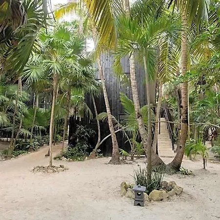 Umi * Tulum