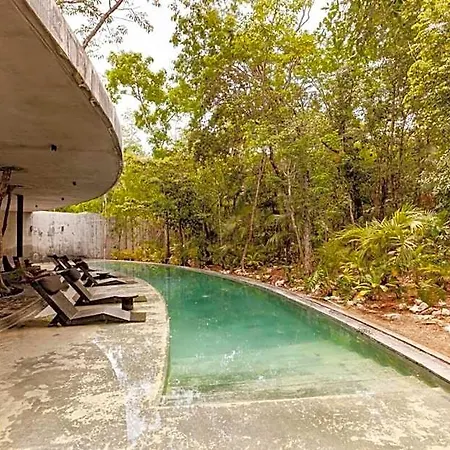Encanto Luxe Jungle 10min Beachhot Tubking Apartment *