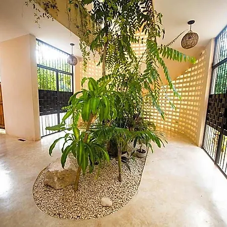 Aparthotel Tierra - Pool & Roof Panoramic Tulum