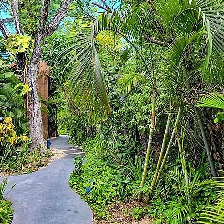 Maui Hostal
