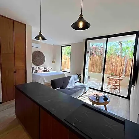W/plunge Pool & Kitchen