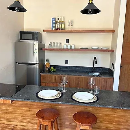 W/plunge Pool & Kitchen Apartment