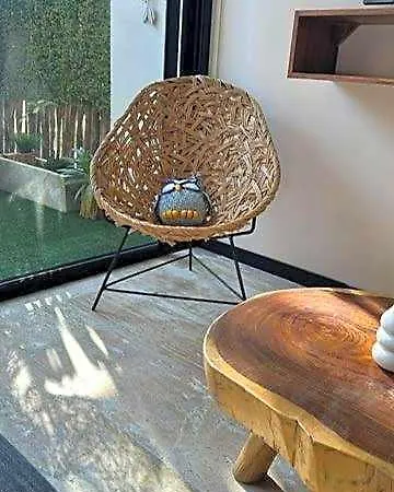 W/plunge Pool & Kitchen Apartment Tulum
