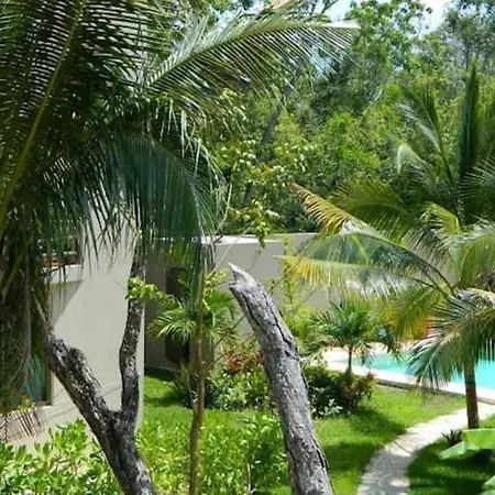 Feel Tulum