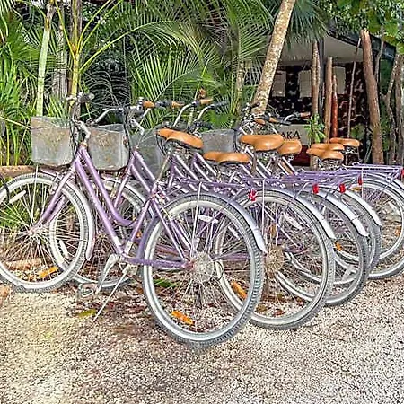 Amaka Calma By Cercana Hotel Tulum