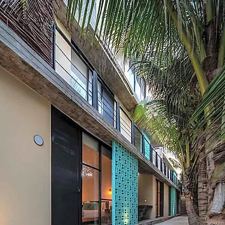 Tropicalito