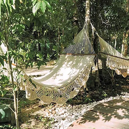 Kuun Taak