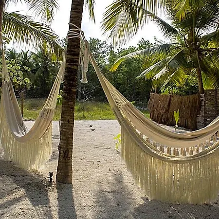 Zenote Sanctuary (Adults Only)