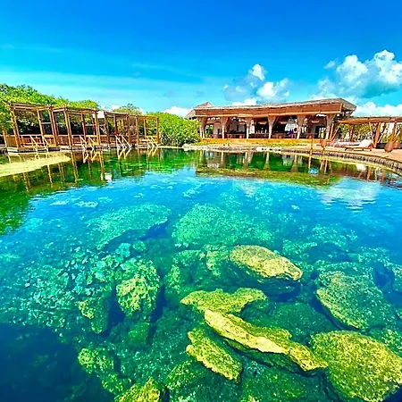 Shibari - Restaurant & Cenote Club Hotel 5*