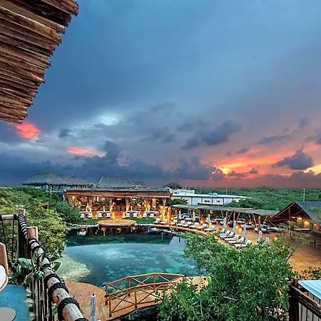 Hotel Shibari - Restaurant & Cenote Club