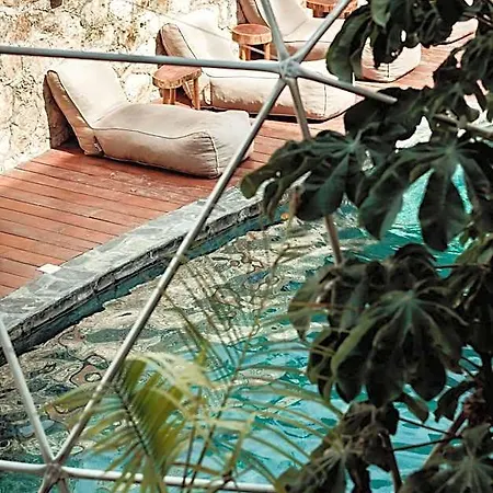 Hotel Botanica