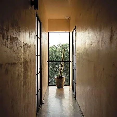 Hotel Botanica *