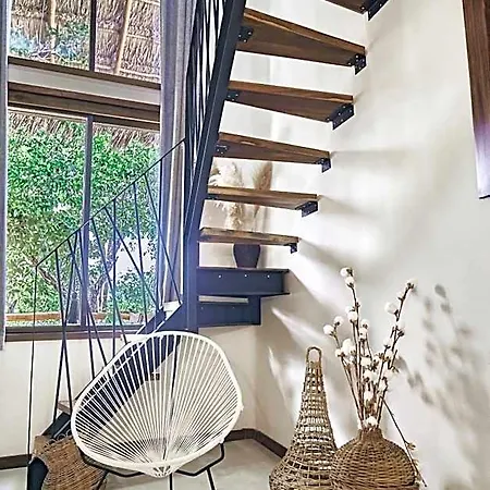 Hotel Boutique Terranova 3*