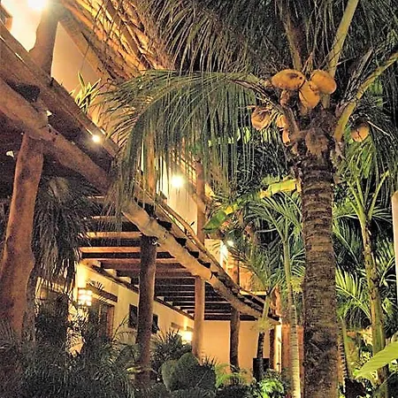 Boutique Terranova Hotel 3*