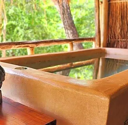 Kin Jungle Deluxe Pensión
