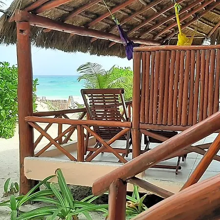 Bt Live Located At The Party Zone Hotel Tulum